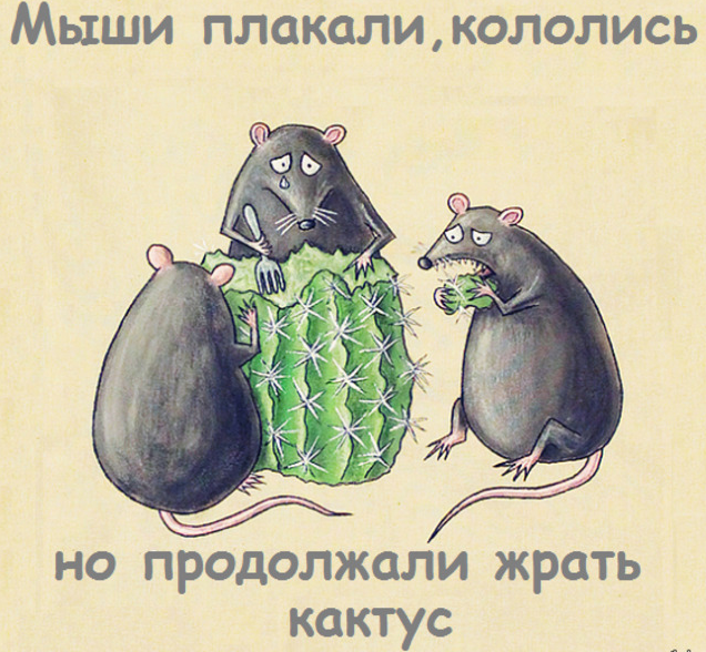Да, мы досмотрелись до мышей