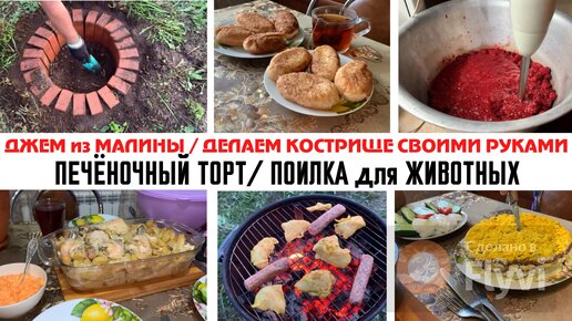 Новогодний торт «обезьянка». Идеи приготовления новогоднего торта 2016