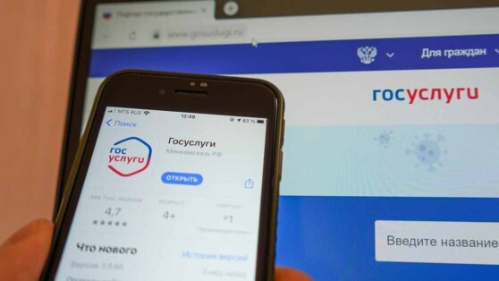    На портале "Госуслуги" начали отображаться купленные железнодорожные билеты Алина Городниченко