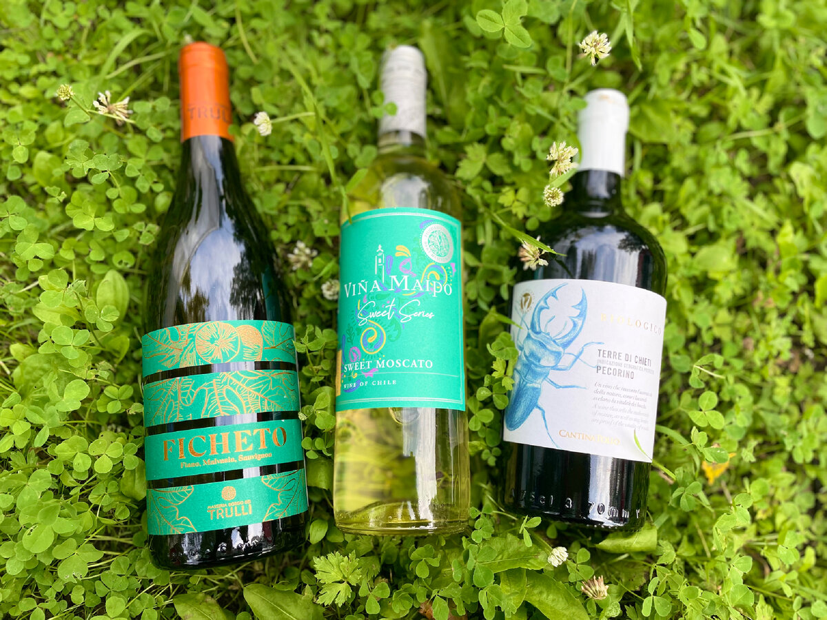 Вот они, сегодняшние герои