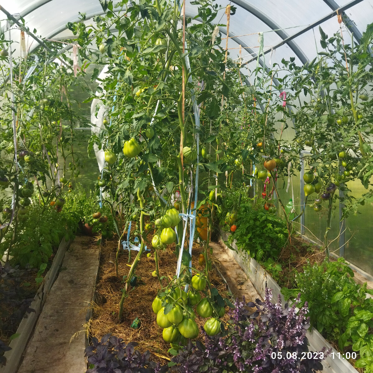 дата фото 5 августа 23 год