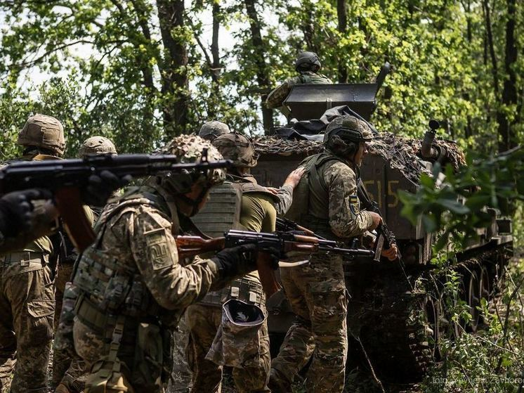 Фото взято из открытых источников