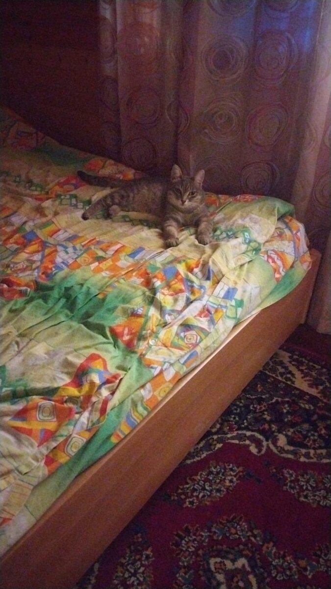 Сима