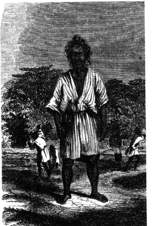 Рисунок 5: Крестьяне Окинавы, работающие в поле босиком, неухоженные и почти голые.