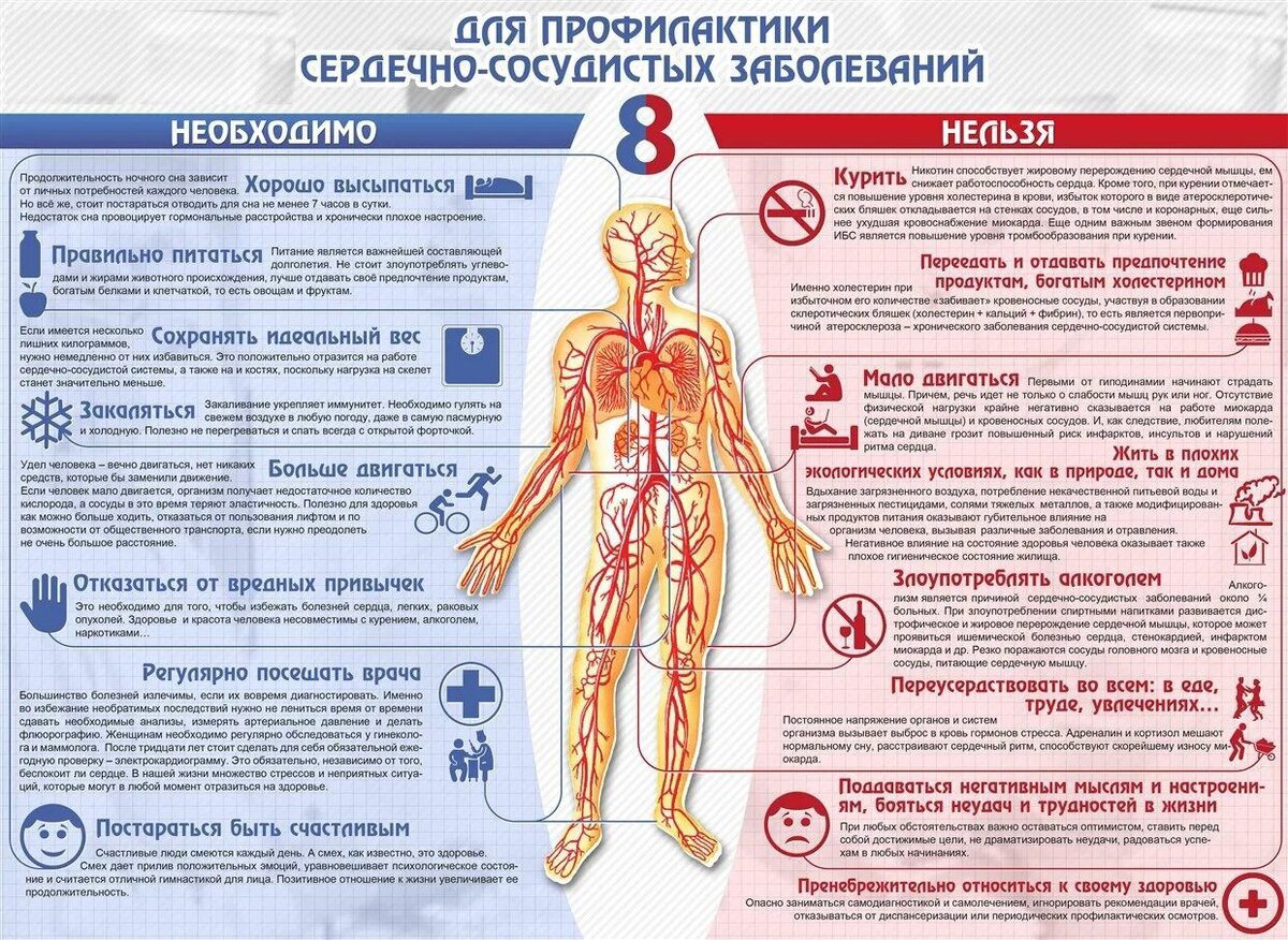 Профилактика сердечно-сосудистых заболеваний является важным аспектом  здоровья и благополучия каждого человека | Новости Тукаевского района | Дзен