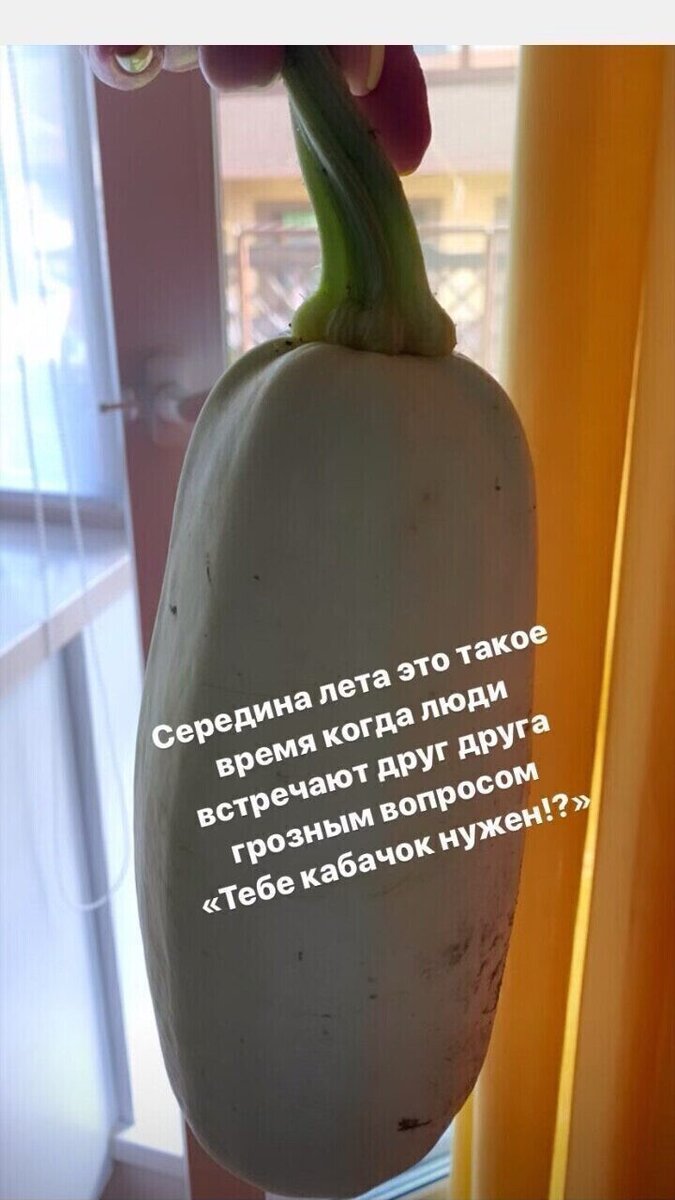 Фото из свободного источника. 