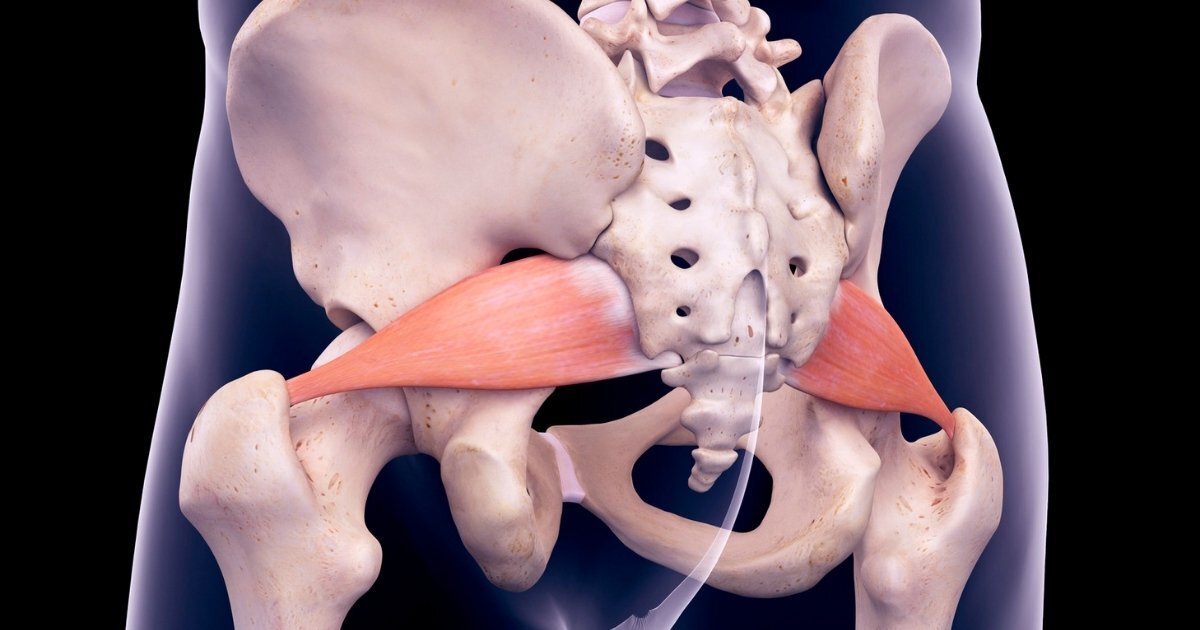 Грушевидная Piriformis