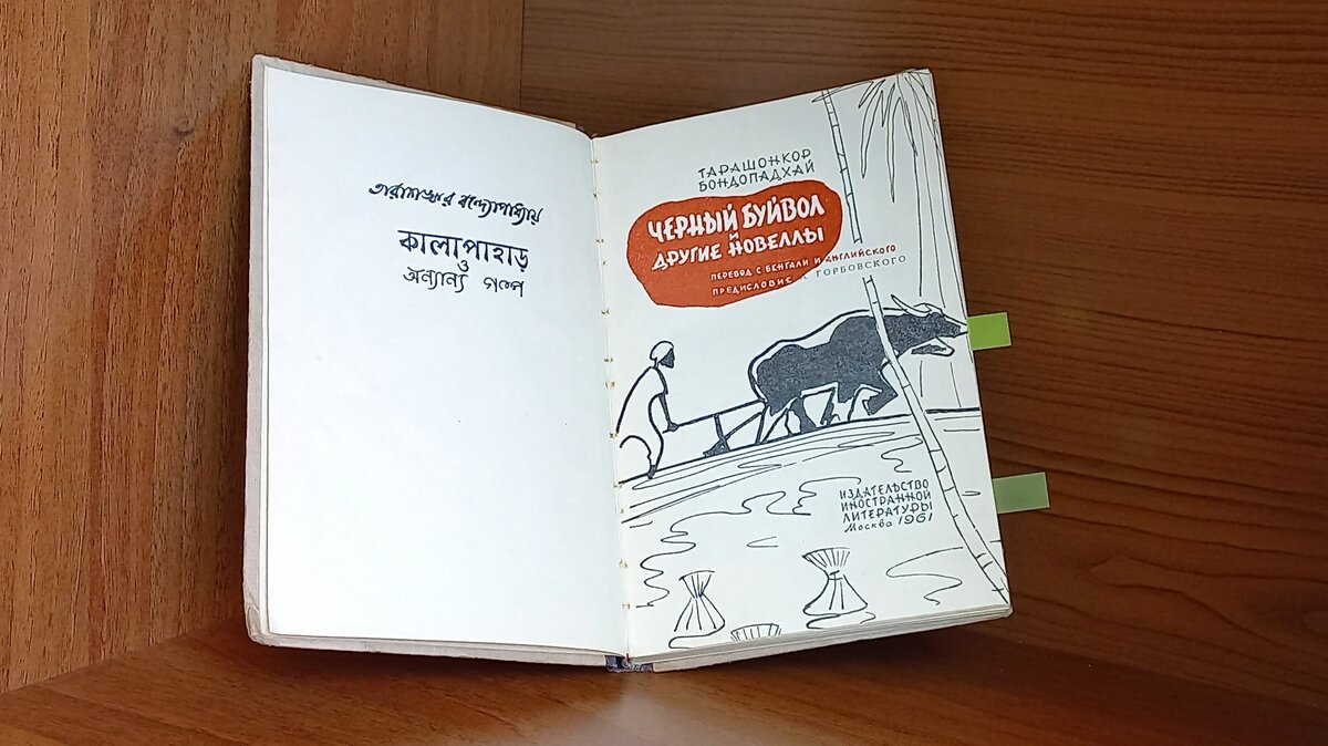 Фото из личного архива