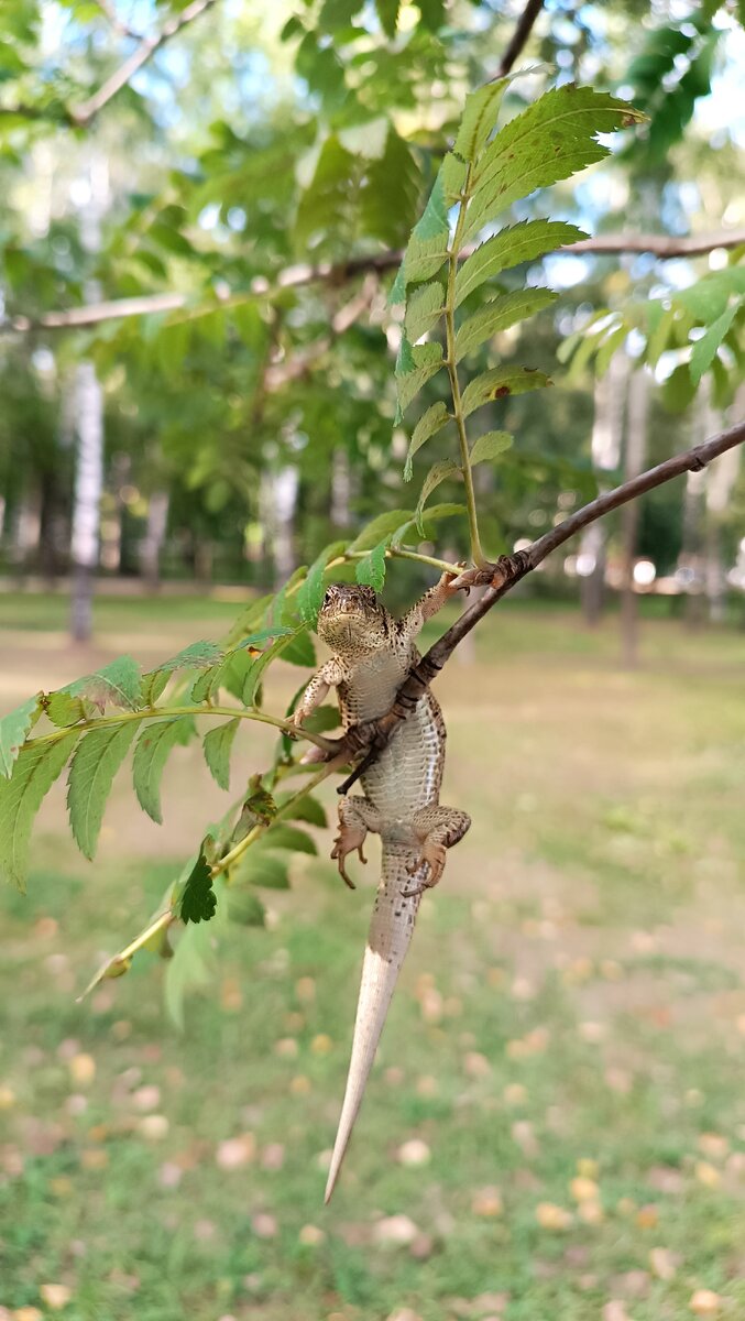 Кать,вот так еще сфоткай!