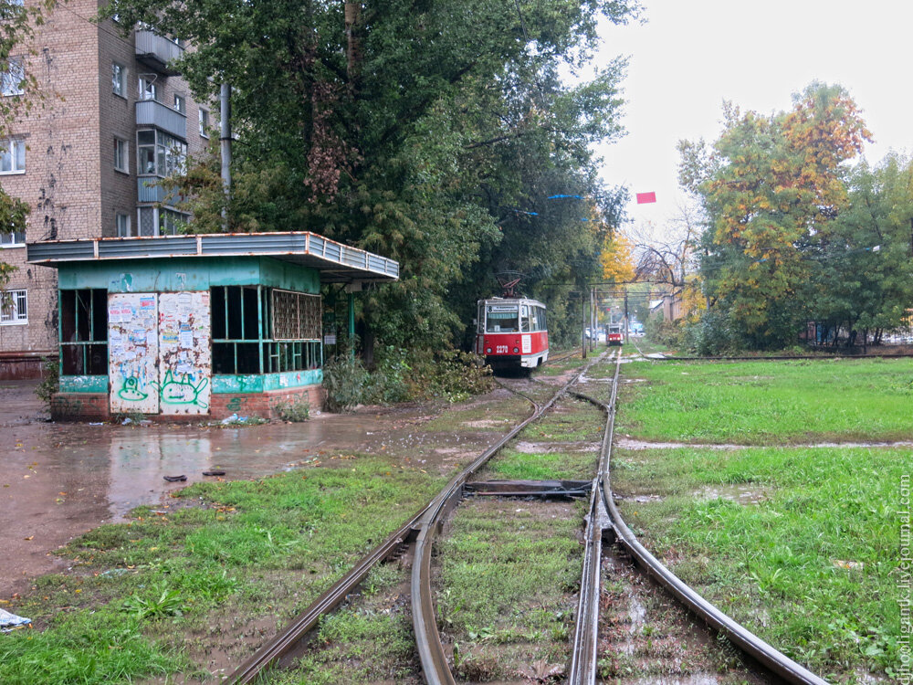 2013 год