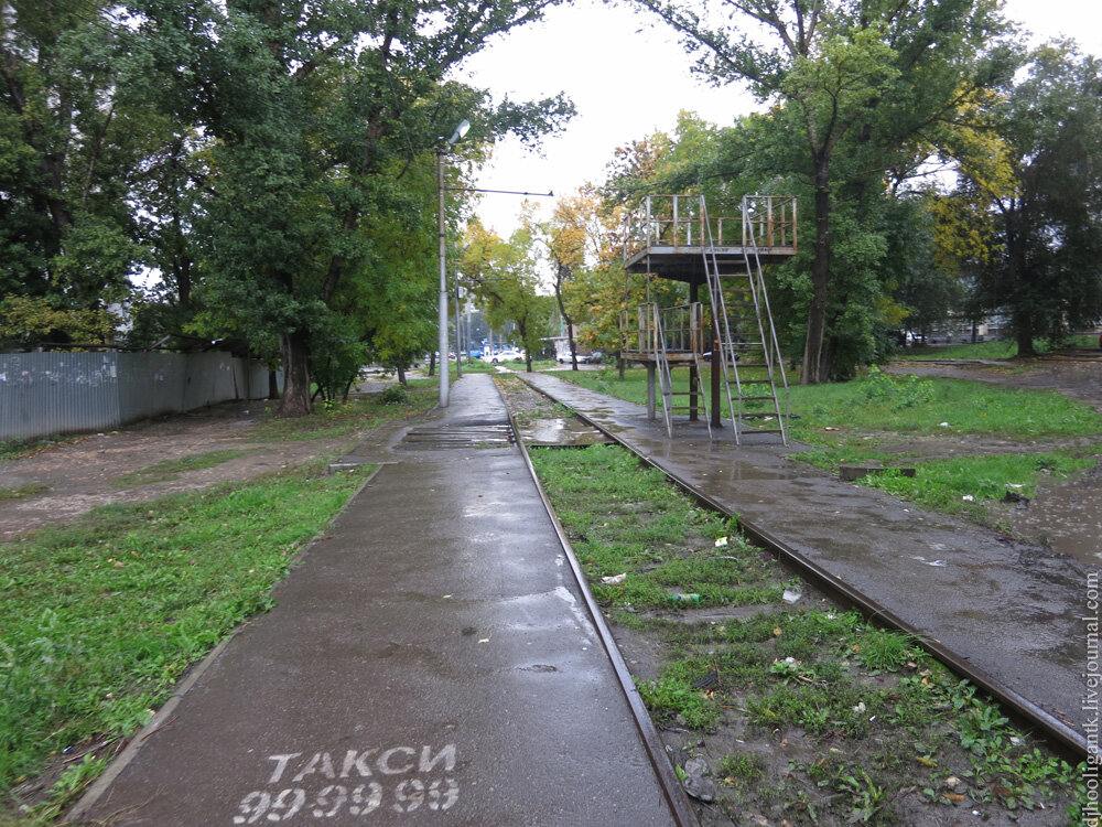 2013 год