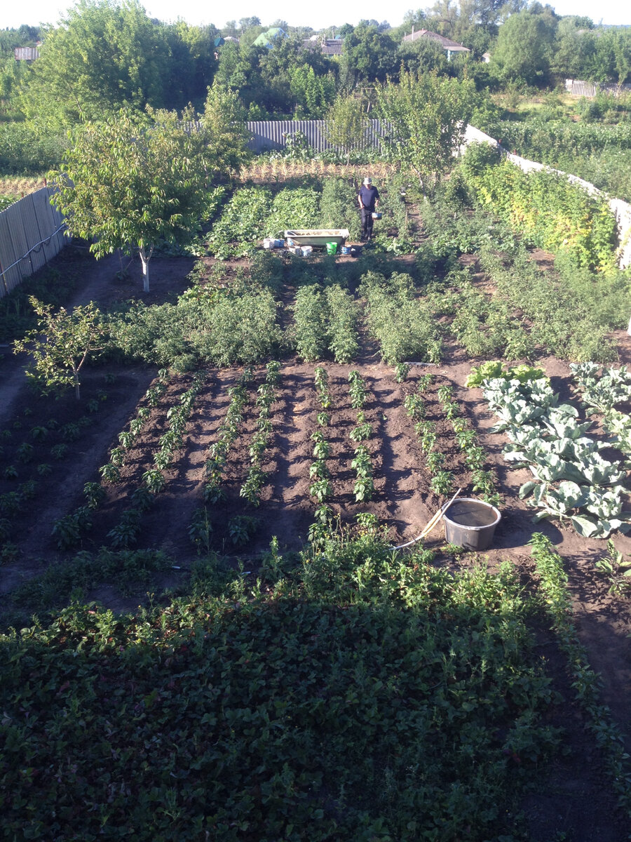 Земля плодородная, но по осени вносим удобрение. Оно так и называется «Осеннее».