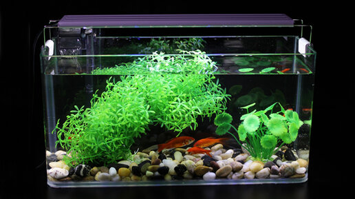 200 литров аквариум с тумбой: Купить аквариум 200 литров с тумбой в интернет-магазине недорого