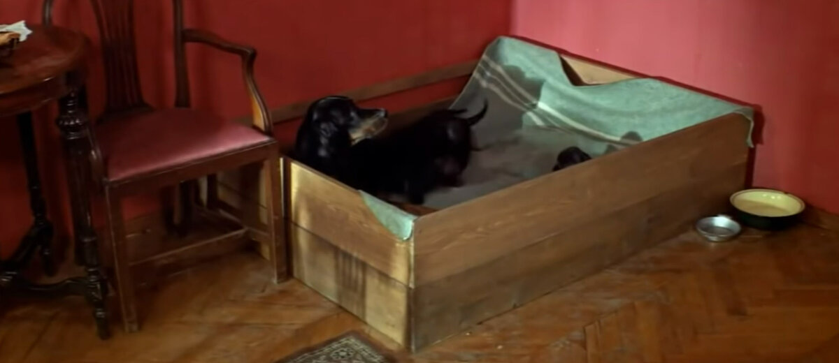 Гнездо сделано по всем правилам.