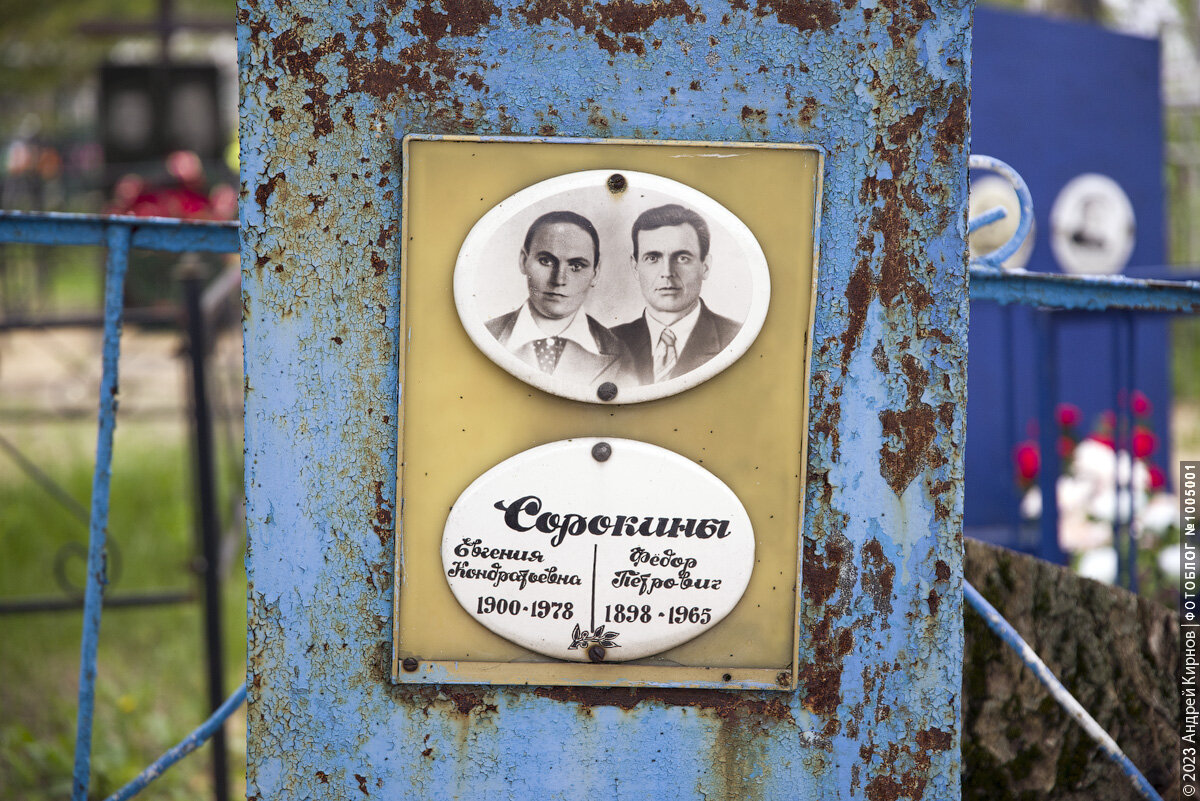 Кладбище в Воронежской области. Здесь и далее фото автора