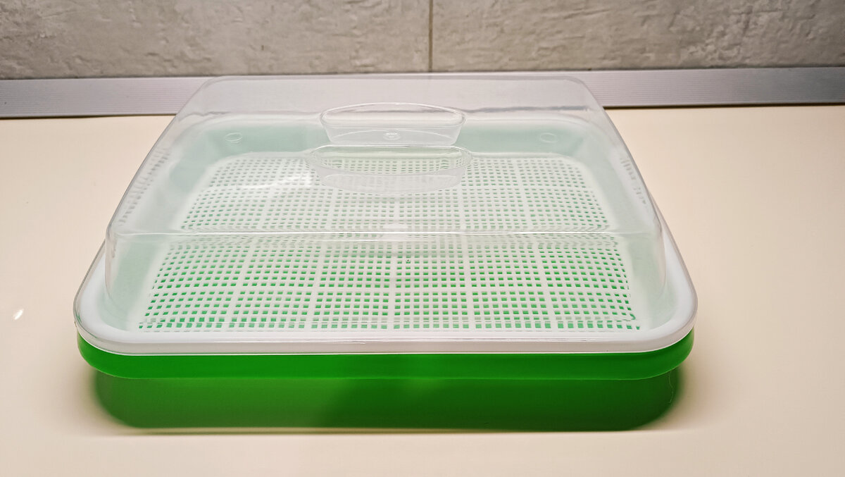 Проращиватель, он же гидропоника 