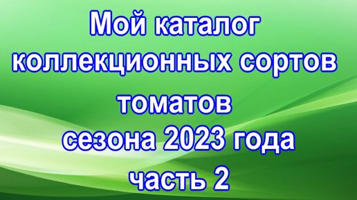 Мой каталог коллекционных сортов томатов сезона 2023 года часть 2