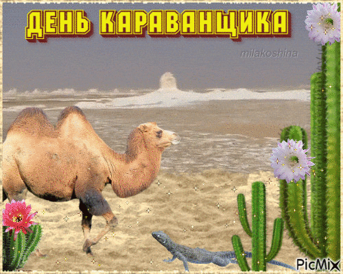 Из открытых источников.