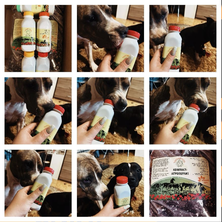 Главные ценители красоты и полезности😂