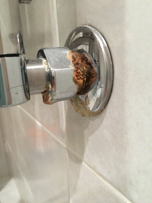      ,    .         30    .-19