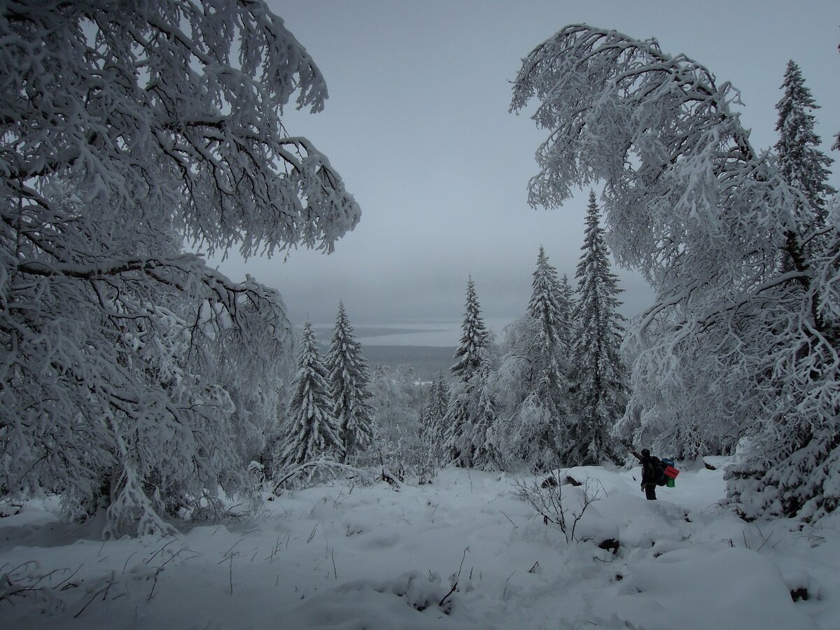Уральские леса