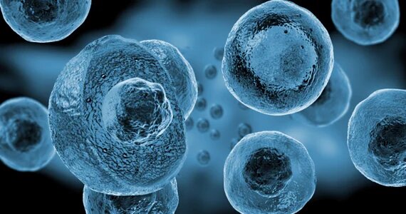 Иллюстрация: q2labsolutions.com