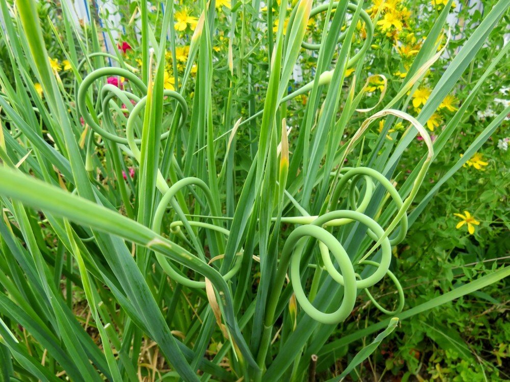    ShutterStock/Fotodom.ru