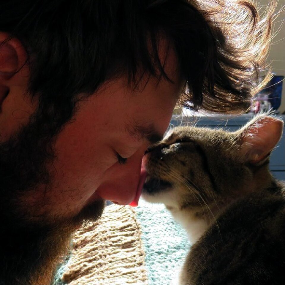 Животные всегда отвечают взаимностью