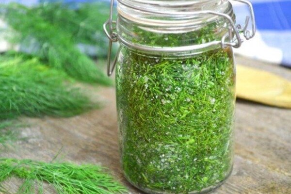 засолка укропа: это необысно