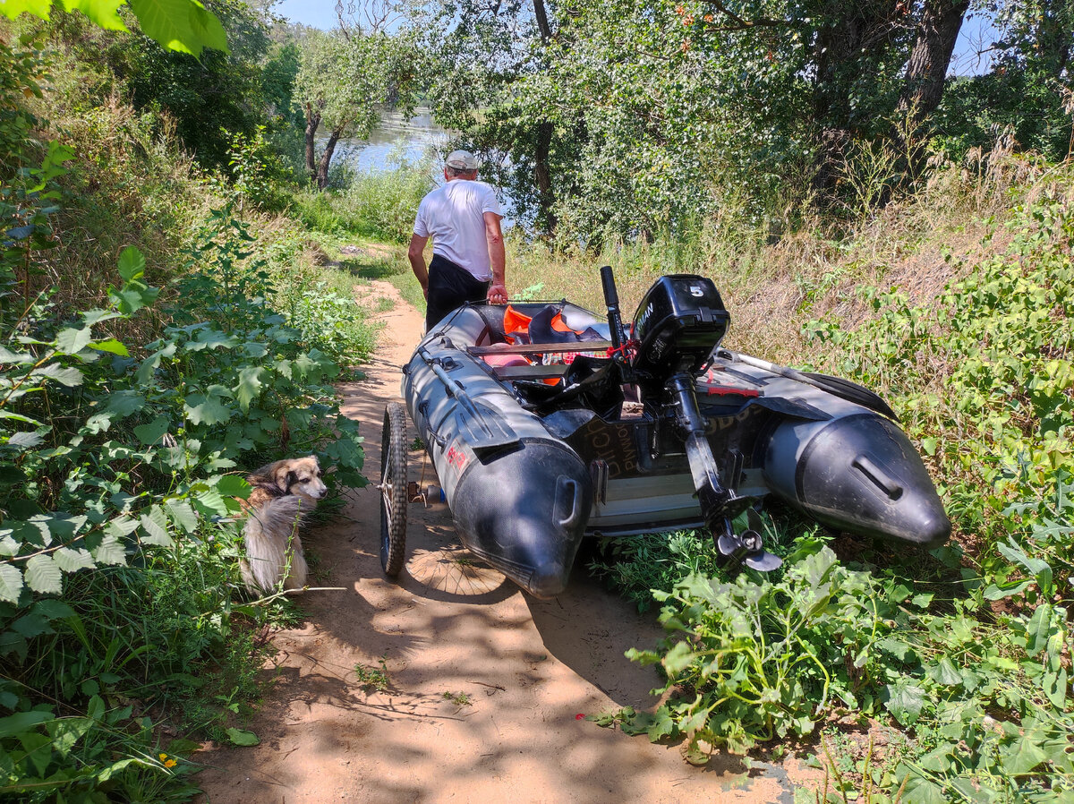 Когда стали спускаться по склону вниз к реке , Бяшка выпрыгнул из лодки. Фото автора Натальи Белотеловой. 