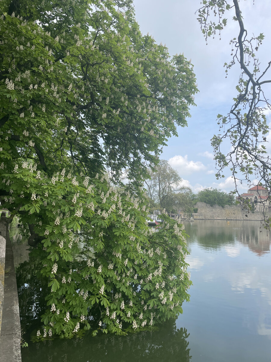 Озеро Эрег в городе Тата