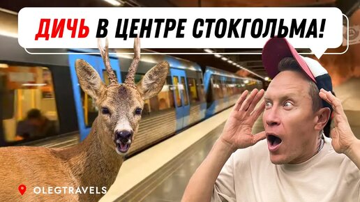 В ШВЕЦИИ КРАСИВЕЕ МЕТРО, ЧЕМ В МОСКВЕ?! | На автодоме по Европе | Выпуск 5