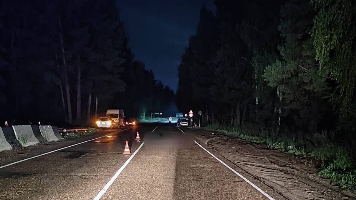     На 276 километре автодороги Красноярск — Енисейск водитель грузовика сбил пешехода и скрылся в неизвестном направлении. Виновника задержали.