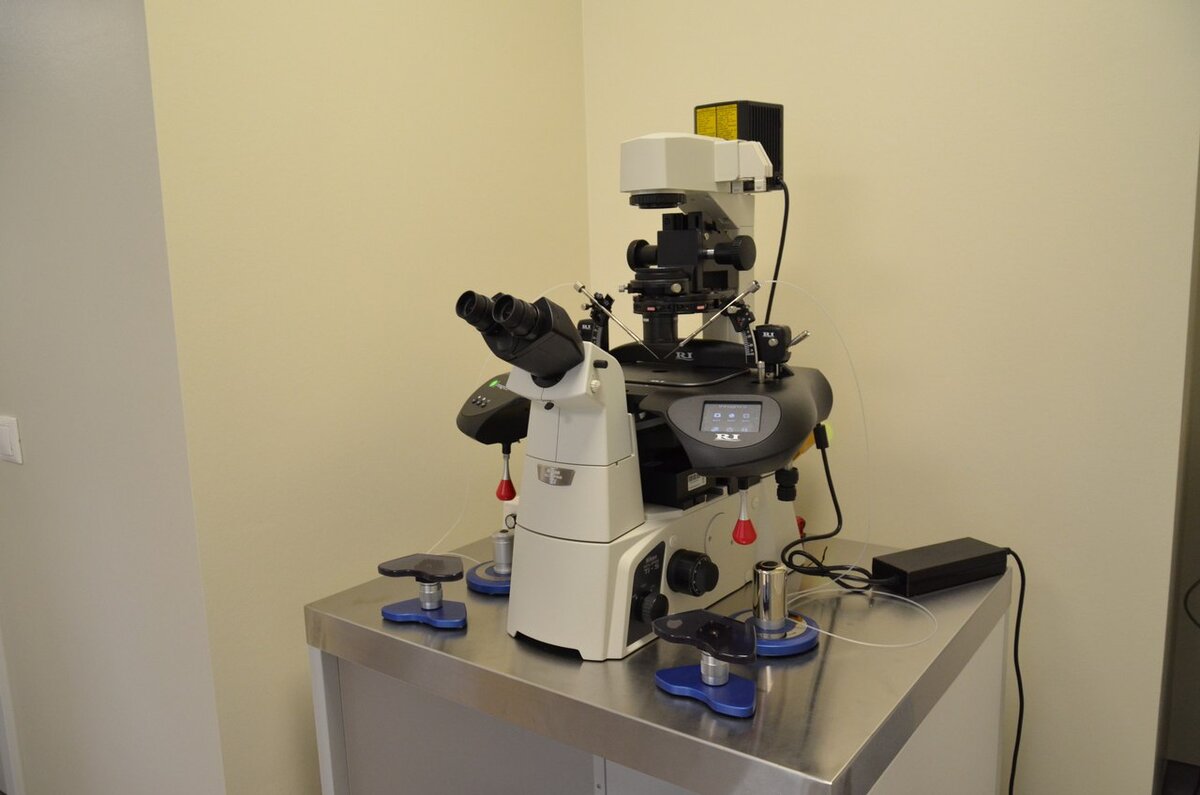 Личный архив Клиники репродукции ICLINIC