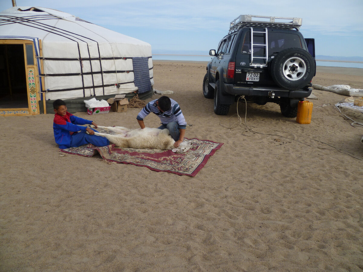 В общем, встав с утра и превосходно выспавшись (мне в этом плане вообще повезло, учитывая, что у меня было царское ложе), после коротких консультаций мы значительно порезали изначальный план. И правильно сделали, как показал дальнейший путь. Пока мы корпели над планом, сын и старший внук хозяина юрты спокойно и буднично забили барана. Это произошло быстро, практически бескровно и без предсмертных агоний. Раз - и всё.