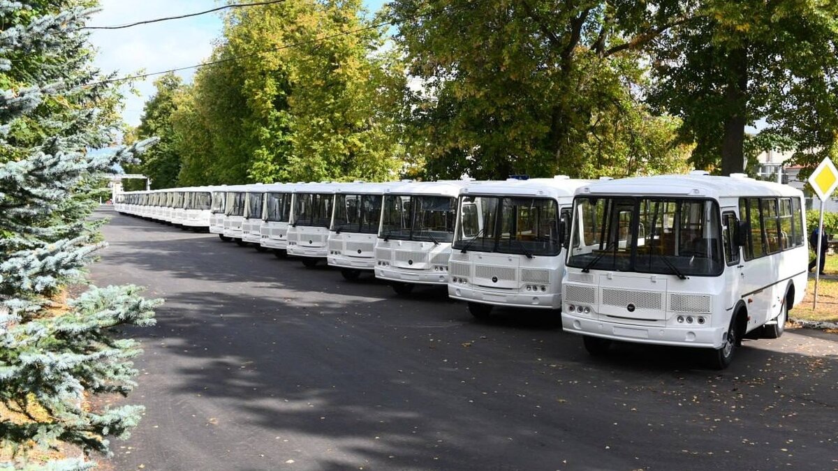     Нижегородская область получила первые 24 автобуса, которые закупаются по механизму специальных казначейских кредитов. Транспортные средства производит Павловский автобусный завод. Об этом губернатор Глеб Никитин рассказал в Telegram.