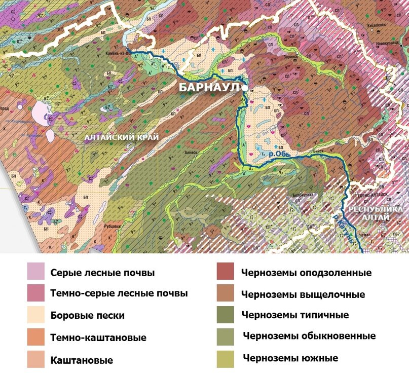 Где находится Алтай на карте России