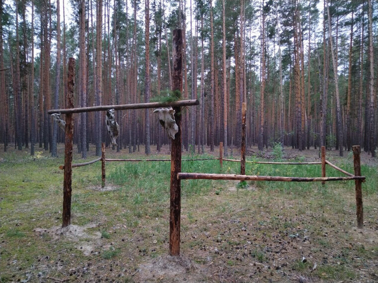    Курганцы нашли место в лесу, которое похоже на капище