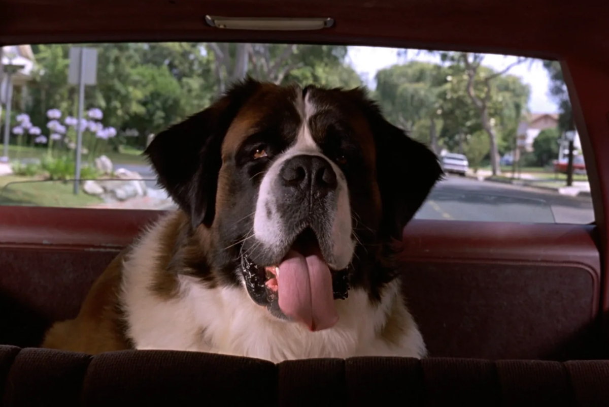    Кадр: фильм «Бетховен»/Universal Pictures