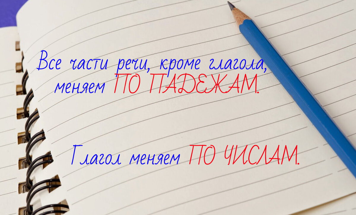 Состав слова – головная боль учителей и школьников на все времена | ЧАСТЬ  1: ГЛАВНЫЙ СЕКРЕТ УСПЕХА – ЧЁТКИЙ АЛГОРИТМ | Русский на пальцах | ЕГЭ с  Оксаной Савченко | Дзен