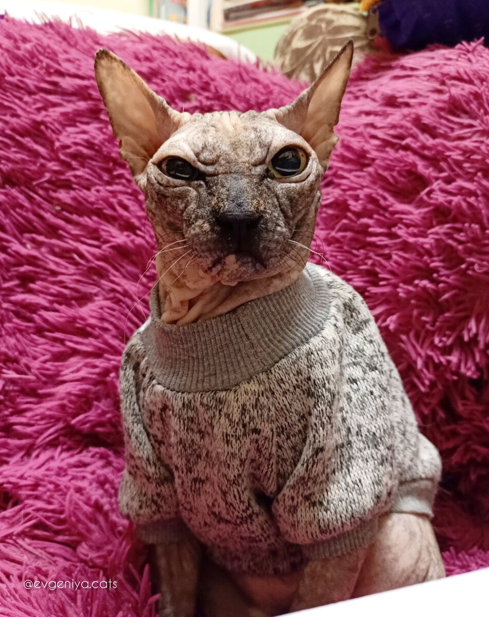 Целый день будете в моей квартире? Серьёзно?