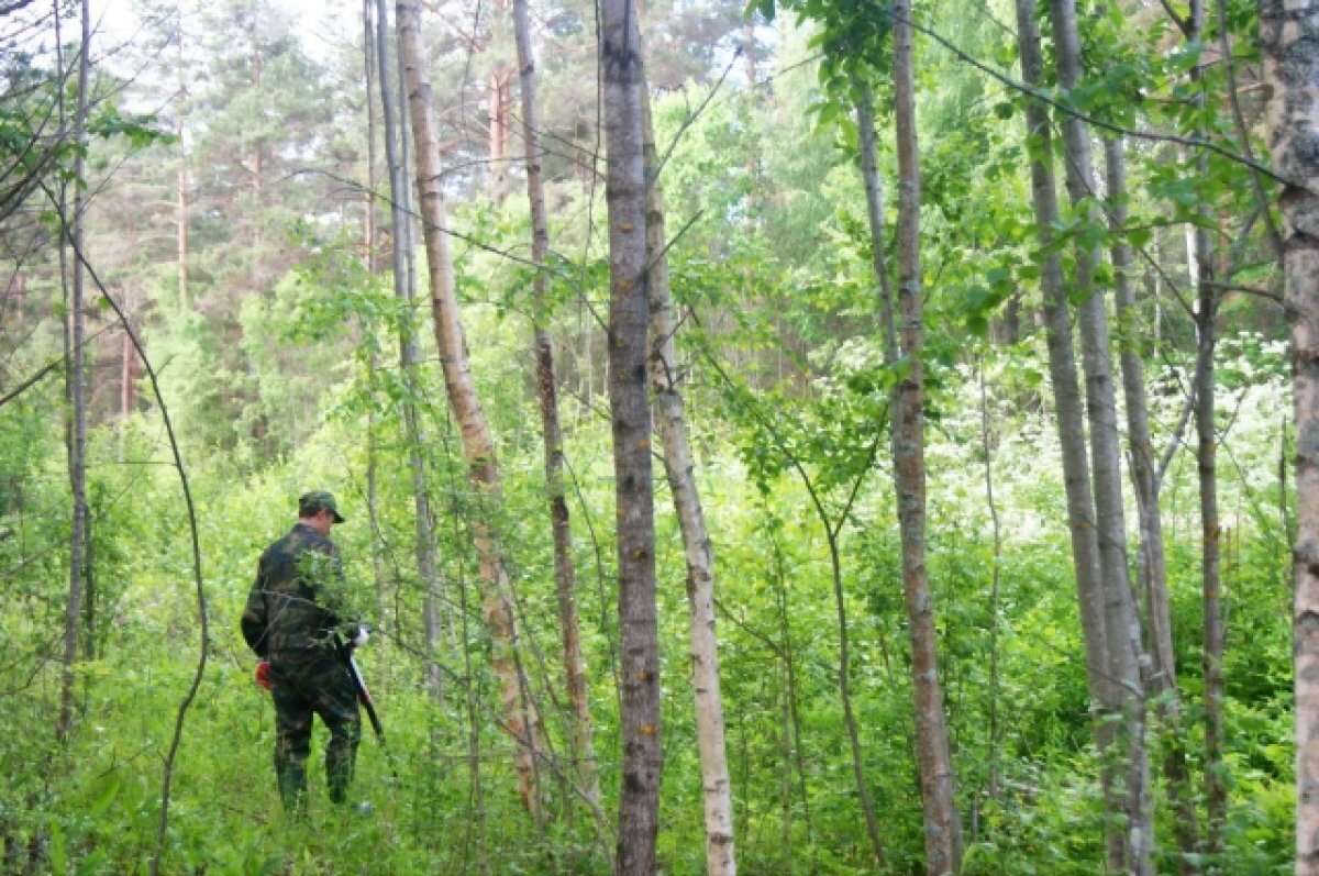    СК проводит проверку по факту гибели пропавшей женщины в Тверской области