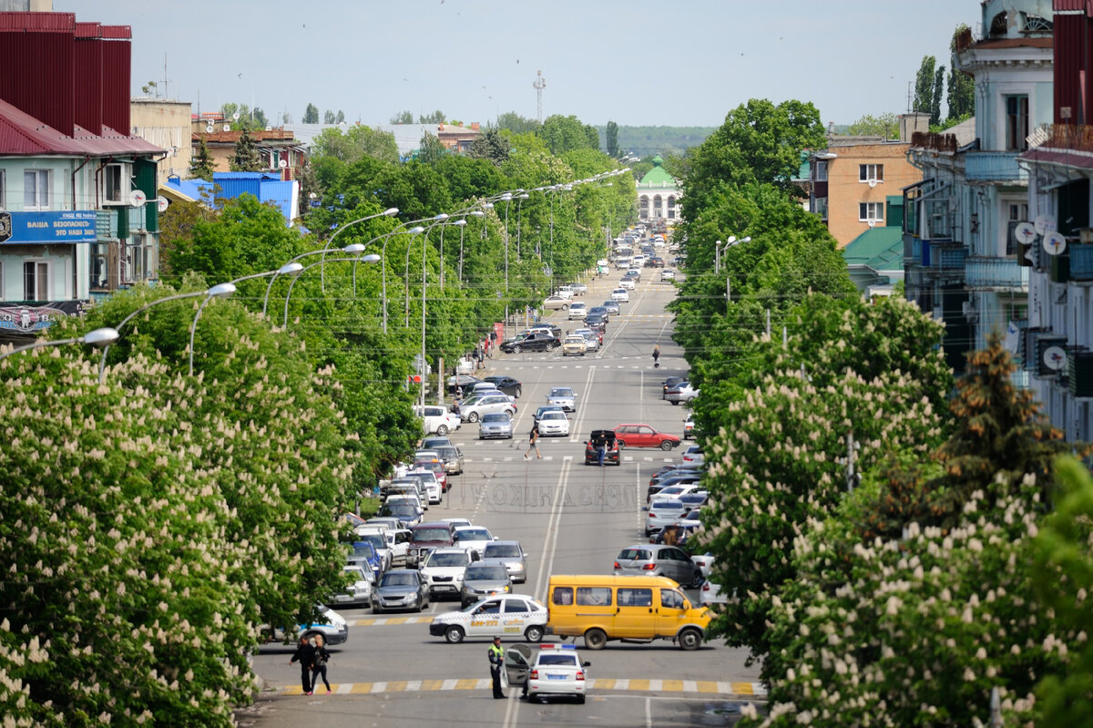 Фото Надежды Гусевой. 