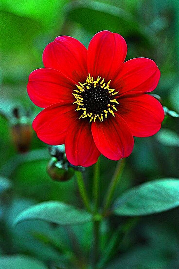 Народные приметы: Как привлечь богатство в свой дом