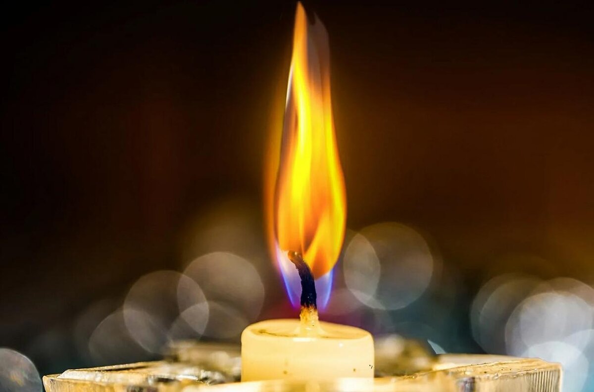 Картинки Яндекс