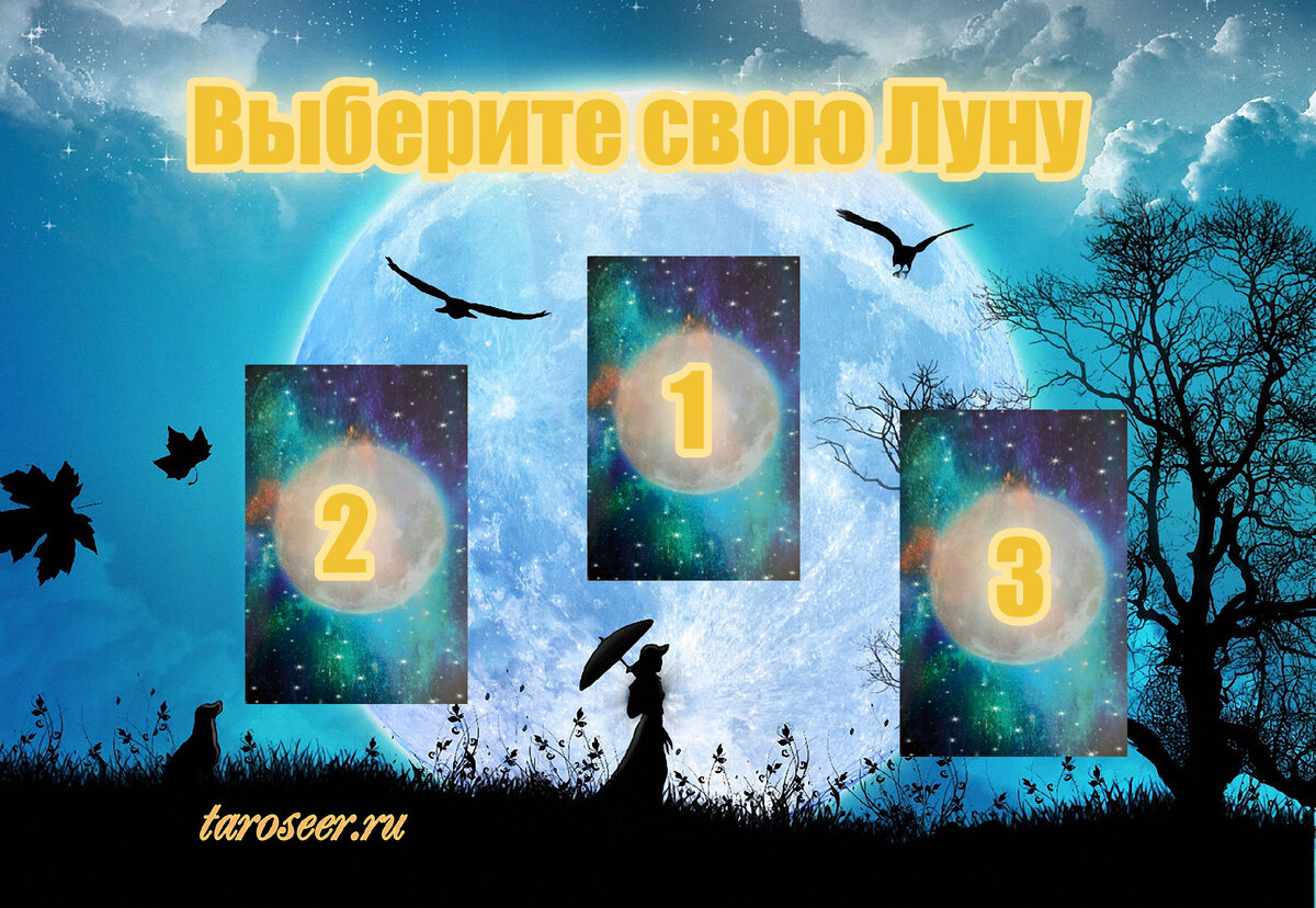 коллаж ЕлВита
