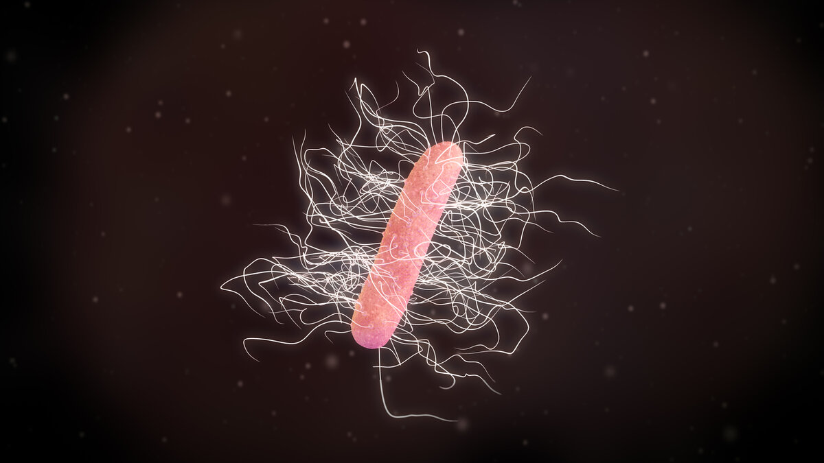 Clostridium difficile