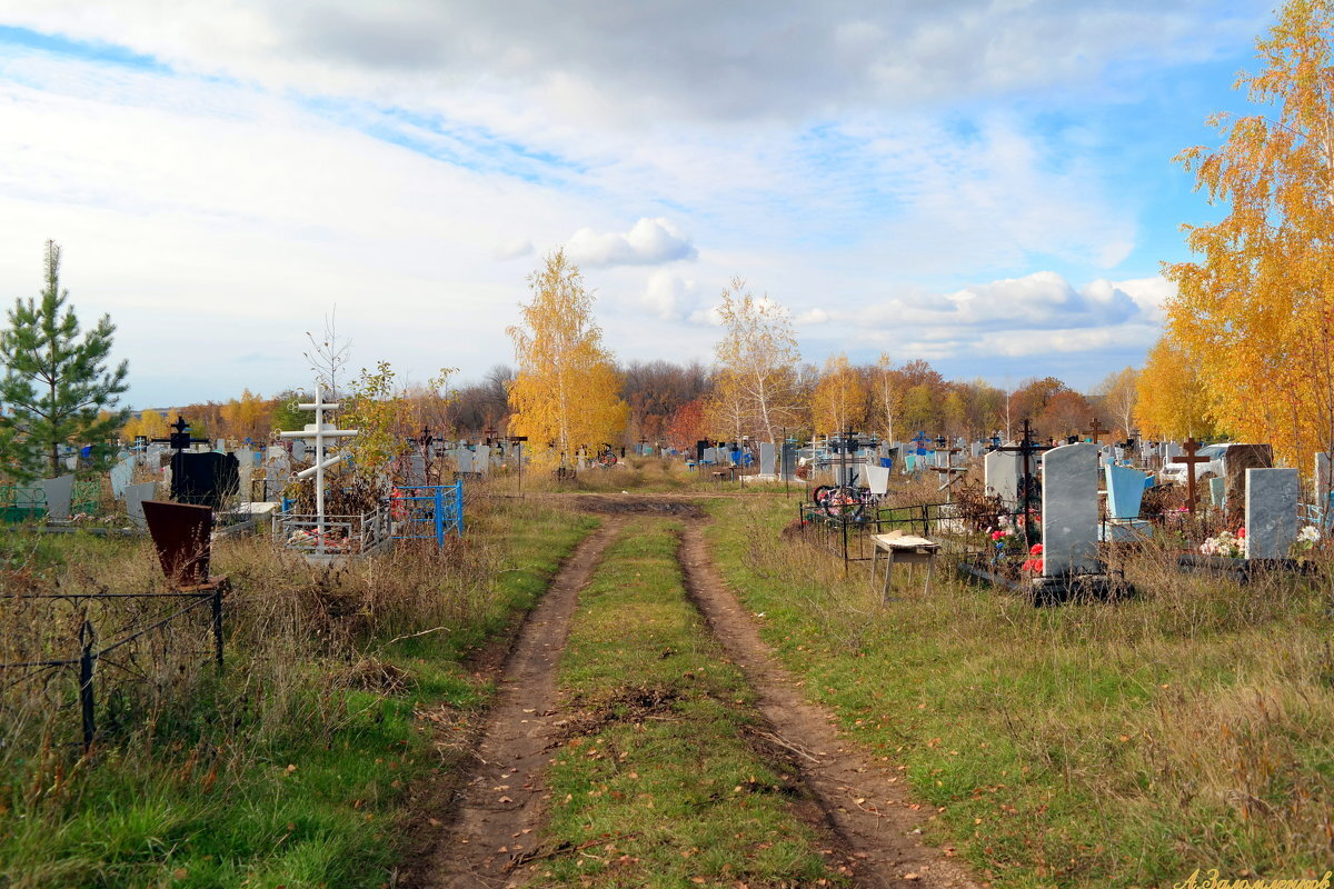 Погост Сенно Псковская область