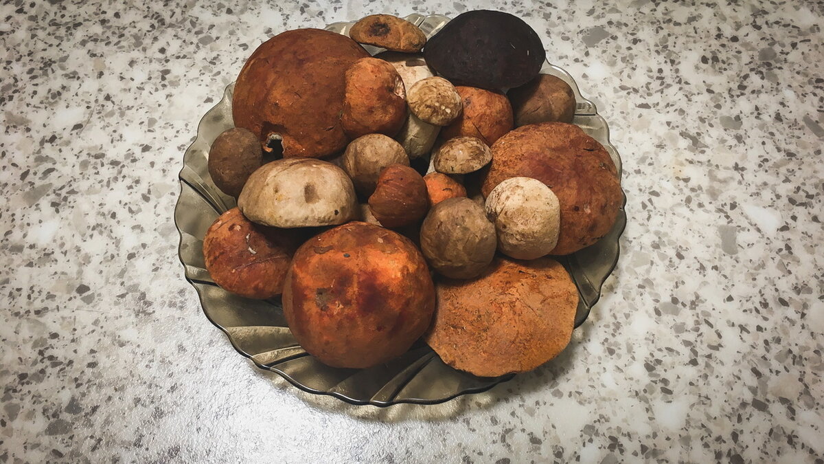     Сезон грибов в Башкирии находится в самом разгаре и продлится еще до поздней осени. Mkset выяснил, когда и где лучше всего собирать грибы в 2023 году.