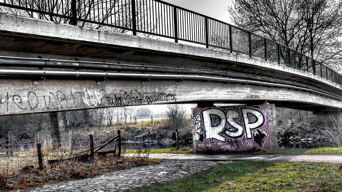     В Ростове-на-Дону под мостом на Северном обнаружили труп мужчины, сообщили очевидцы в соцсетях.